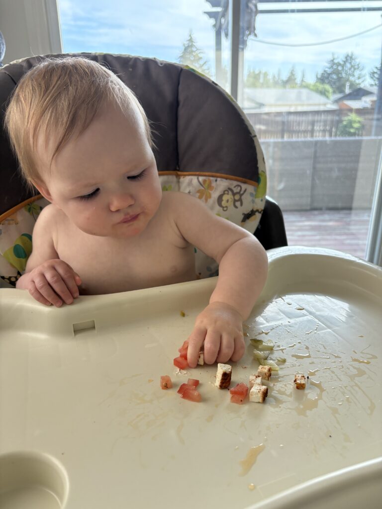 Dill Pickle Tofu Salad: A Baby Review 2 IMG 0417