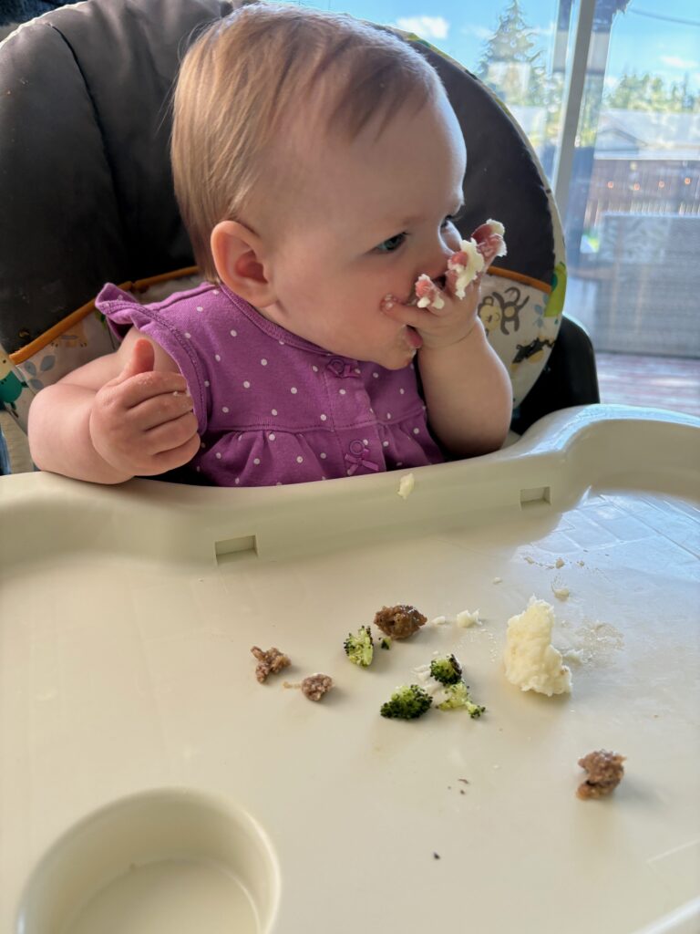 Salisbury Steaks & Baby Mashed Potato Obsession 3 IMG 0596