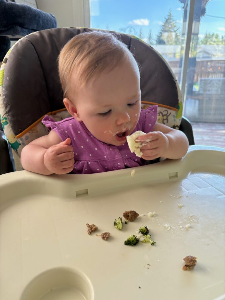 Salisbury Steaks & Baby Mashed Potato Obsession 2 IMG 0597