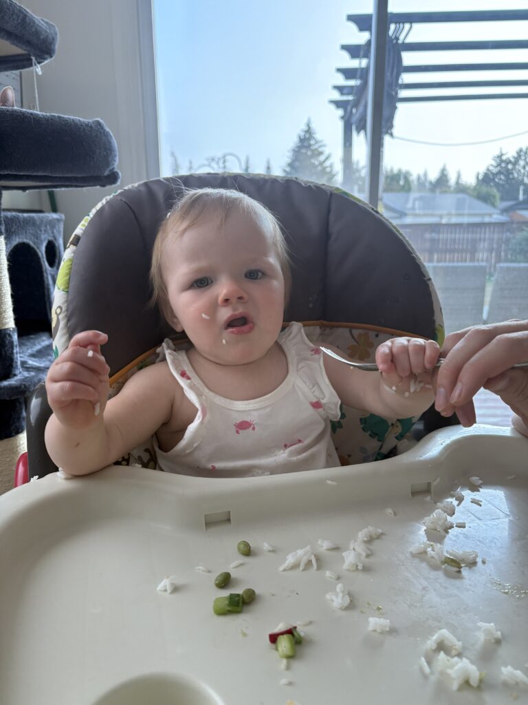 Funny toddler grimace during HelloFresh Bang Bang Tofu Tacos baby review — testing new flavors with attitude.