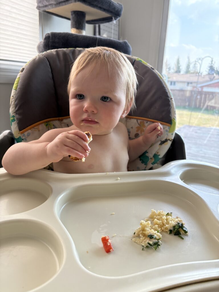 Toddler mealtime with HelloFresh Carb Smart Halloumi and Tabbouleh Bowls