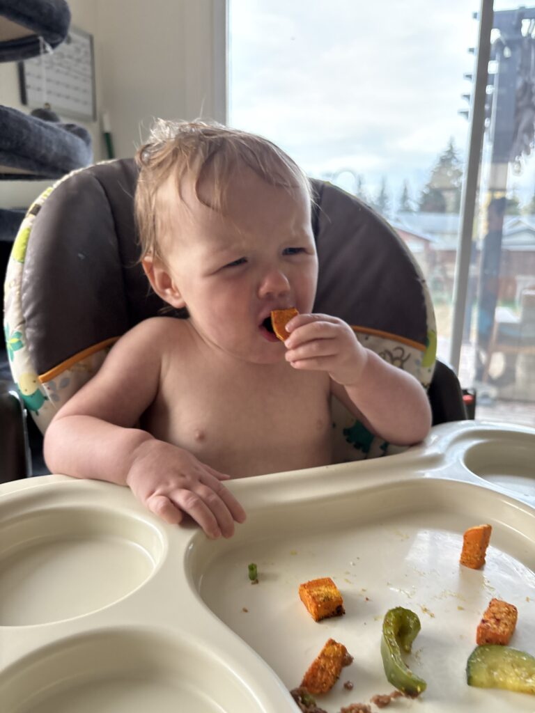 HelloFresh Smart Sesame Beyond Meat Bowls Baby Friendly Review 4 HelloFresh Smart Sesame Beyond Meat Bowls baby friendly – toddler eating sweet potato with hands