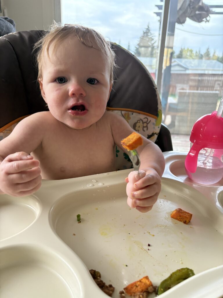 HelloFresh Smart Sesame Beyond Meat Bowls Baby Friendly Review 2 HelloFresh Smart Sesame Beyond Meat Bowls baby friendly – toddler showing sweet potato on fork