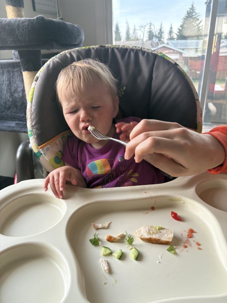 14-month-old toddler refusing fork-fed bites of HelloFresh Carb Smart California-Inspired Chicken Salad