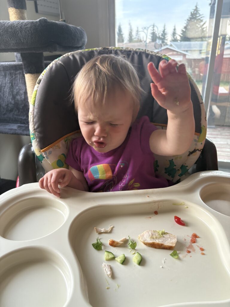 14-month-old toddler refusing HelloFresh Carb Smart California-Inspired Chicken Salad during baby-friendly dinner review