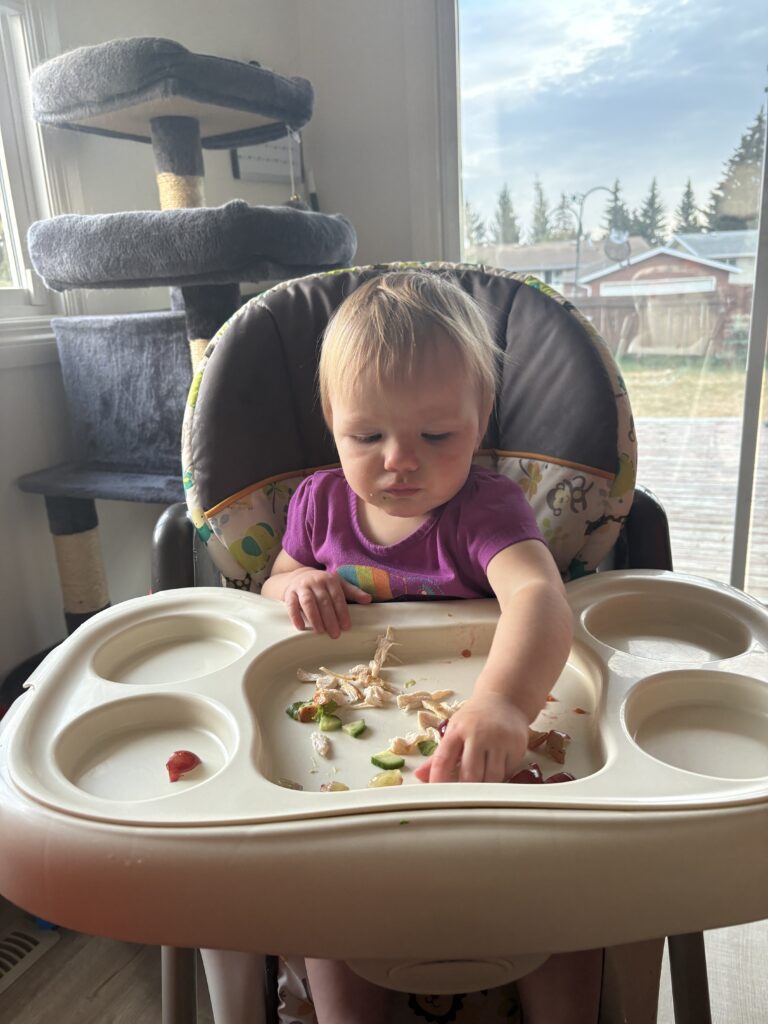 14-month-old eating grapes and ignoring HelloFresh Carb Smart California-Inspired Chicken Salad during baby-friendly dinner
