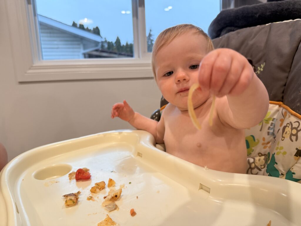 HelloFresh Baby Meals: Smoky Plant-Based Protein Shreds Hash Review 2 Roslyn offering us an onion. So easy to adapt HelloFresh meals for babies!